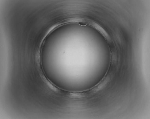 X0000113890852200909241415