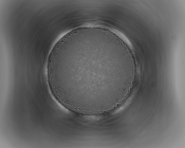 X0000113890855200909241416