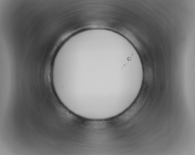 X0000113890856200909241416