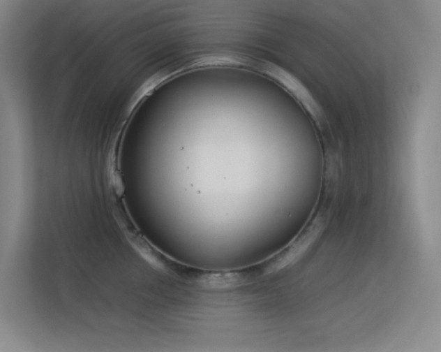X0000113890858200909241416