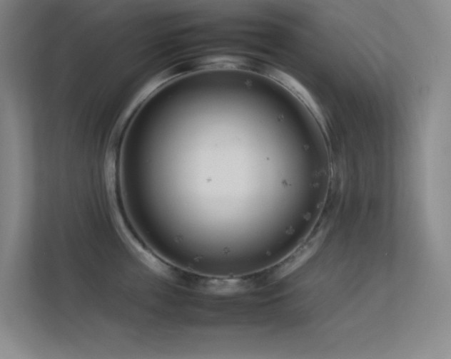 X0000113890859200909241416
