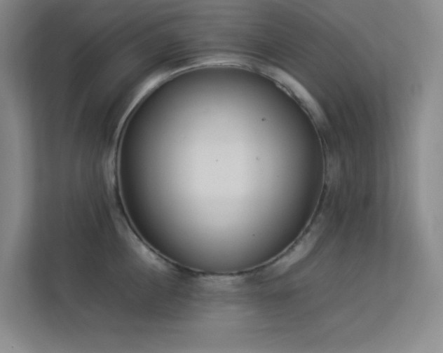 X0000113890860200909241416