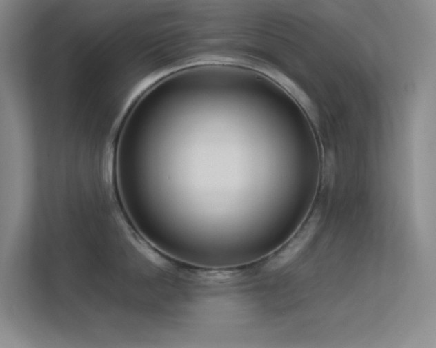 X0000113890862200909241416