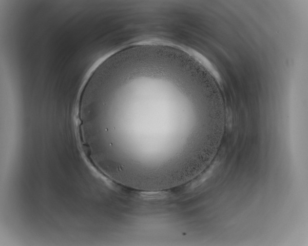 X0000113890863200909241416