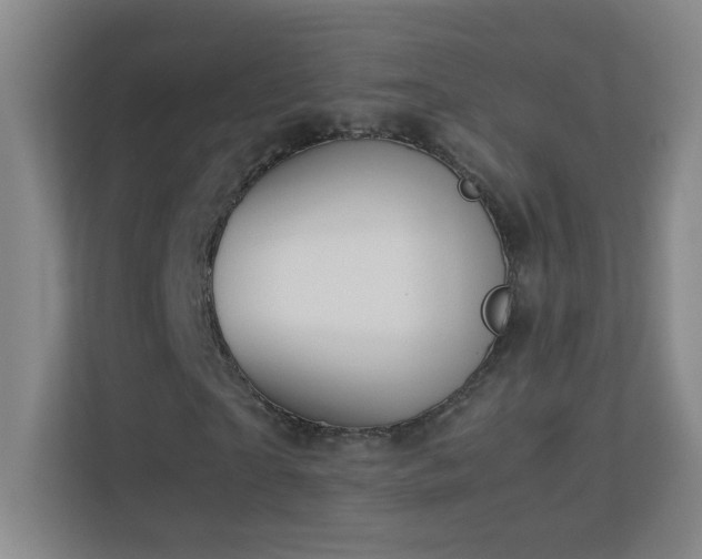 X0000113890865200909241415
