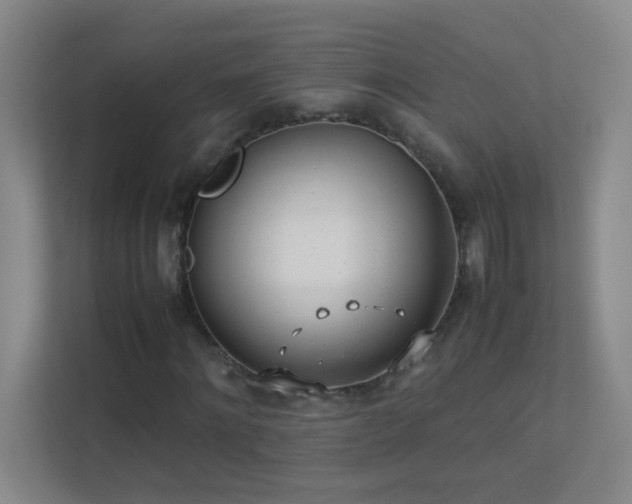 X0000113890868200909241415