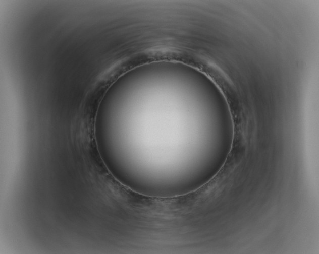 X0000113890870200909241415