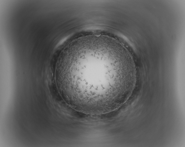 X0000113890871200909241415