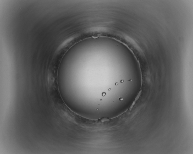 X0000113890872200909241415