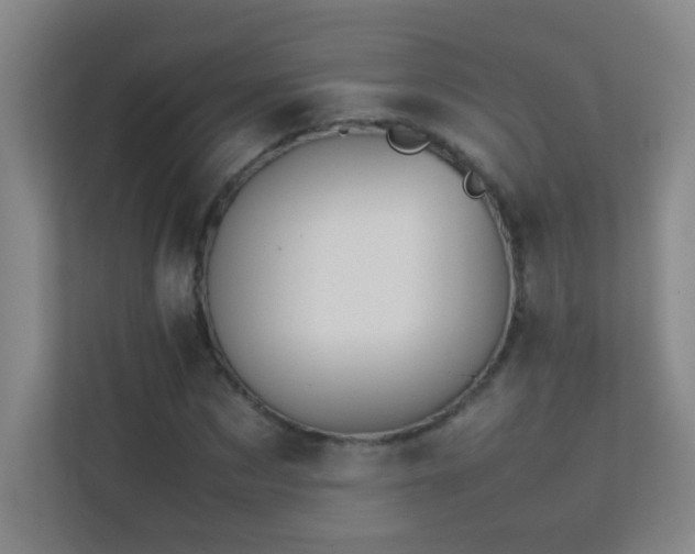 X0000113890873200909241415