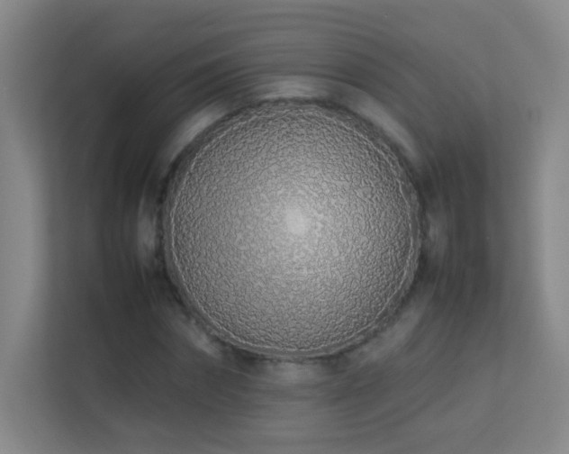 X0000113890874200909241415