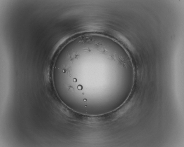 X0000113890875200909241415
