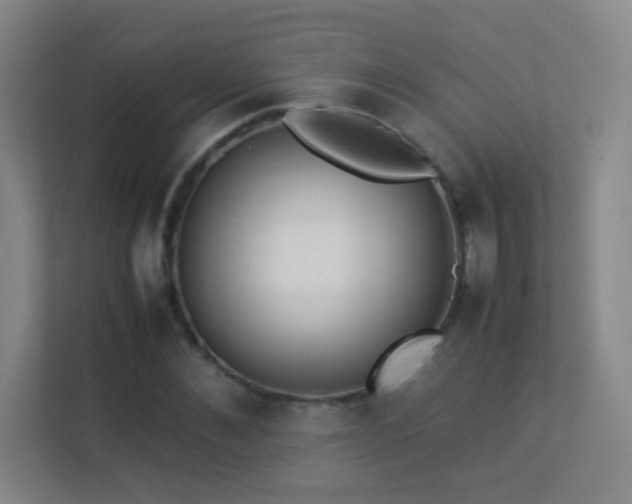 X0000113890876200909241415