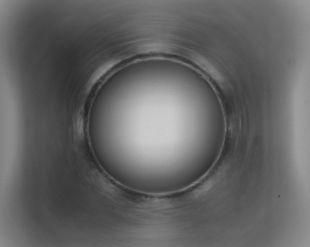 X0000113890877200909241415