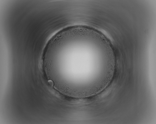 X0000113890879200909241415