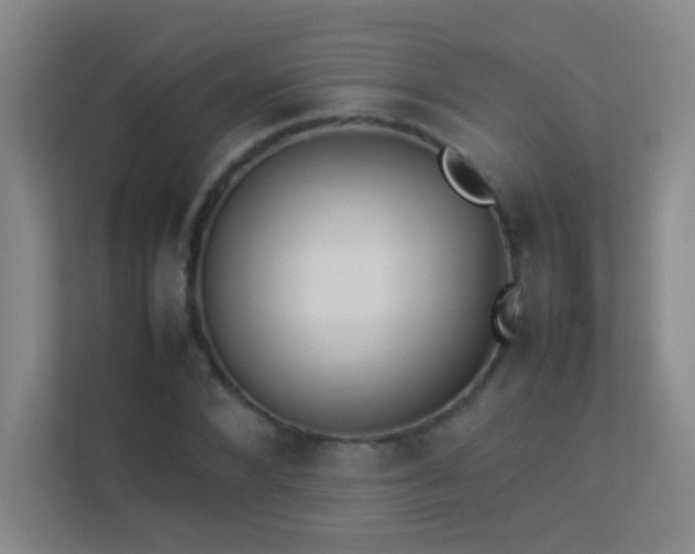 X0000113890880200909241415