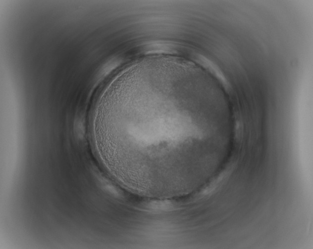 X0000113890882200909241415