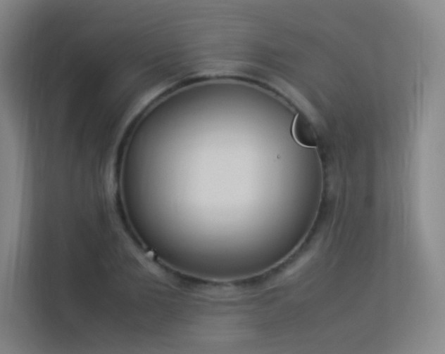 X0000113890885200909241415