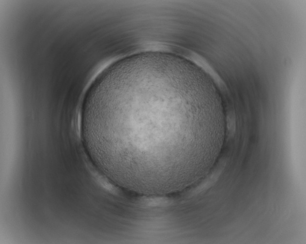 X0000113890886200909241415