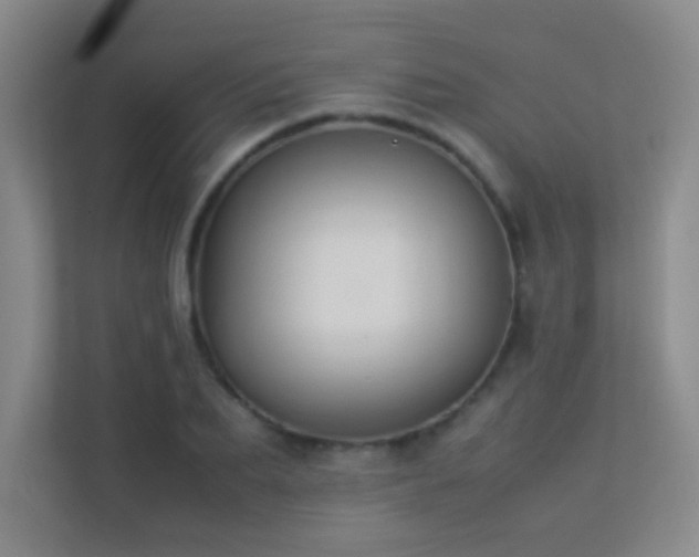 X0000113890887200909241415