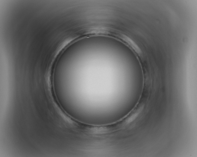 X0000113890893200909241415