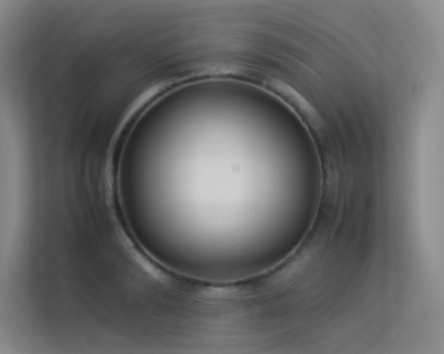 X0000113890894200909241415