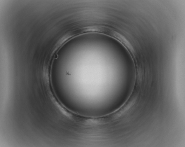 X0000113890898200909241415