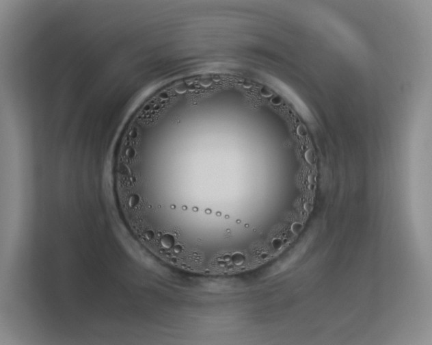 X0000113890899200909241415