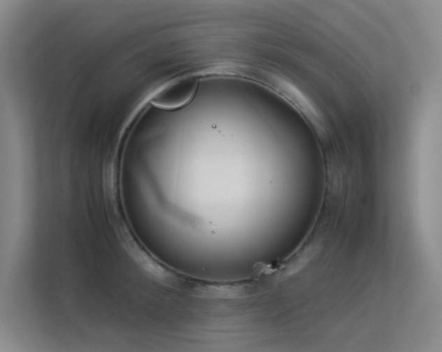 X0000113890900200909241415