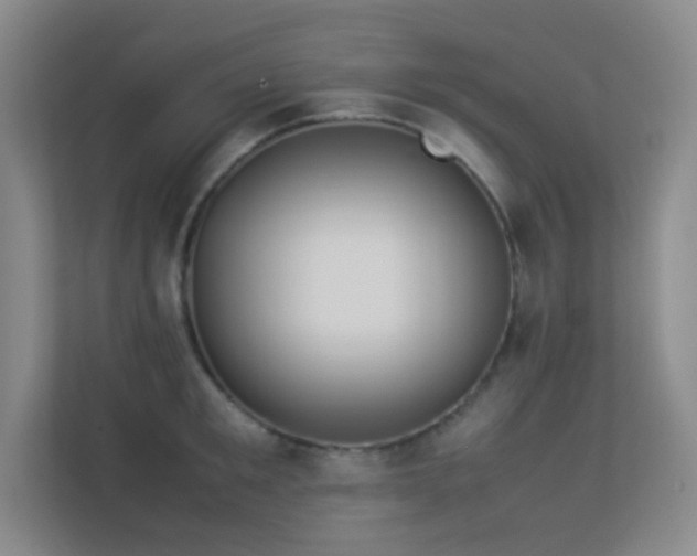 X0000113890901200909241415