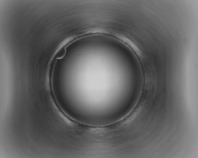X0000113890902200909241415