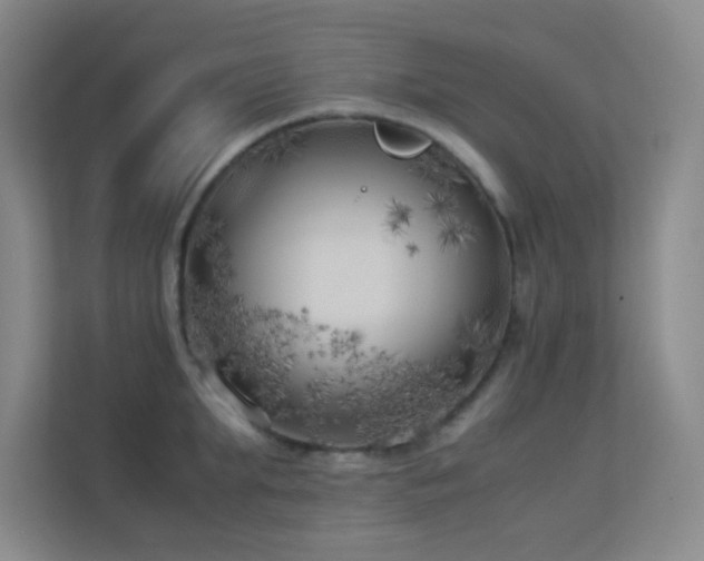 X0000113890903200909241415