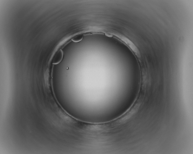 X0000113890904200909241414