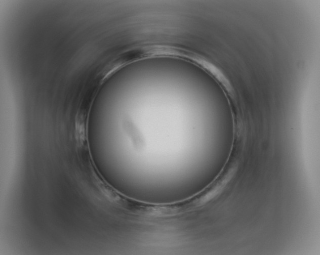 X0000113890905200909241414