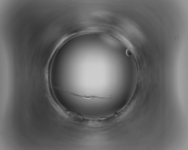X0000113890907200909241414