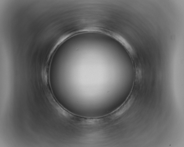 X0000113890908200909241414