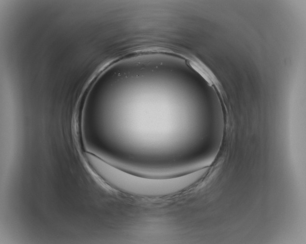 X0000113890909200909241414