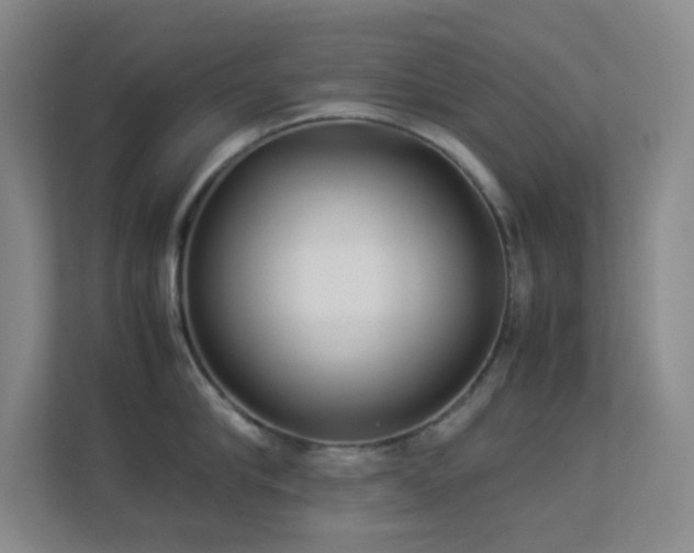 X0000113890910200909241414