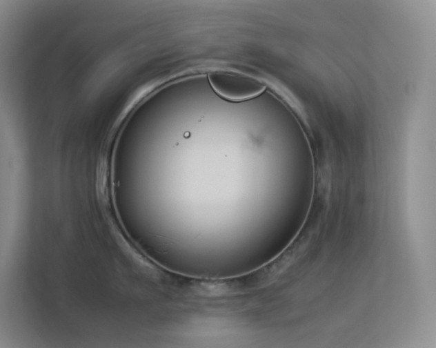 X0000113890911200909241414