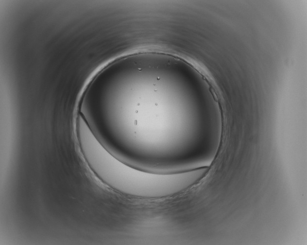 X0000113890912200909241414