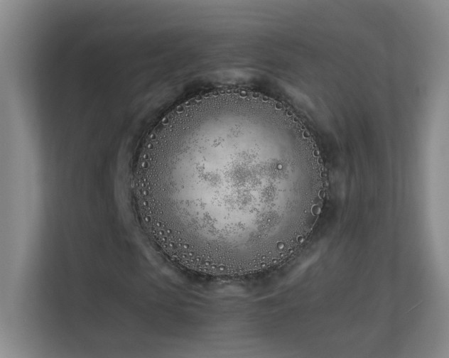 X0000113890913200909241414