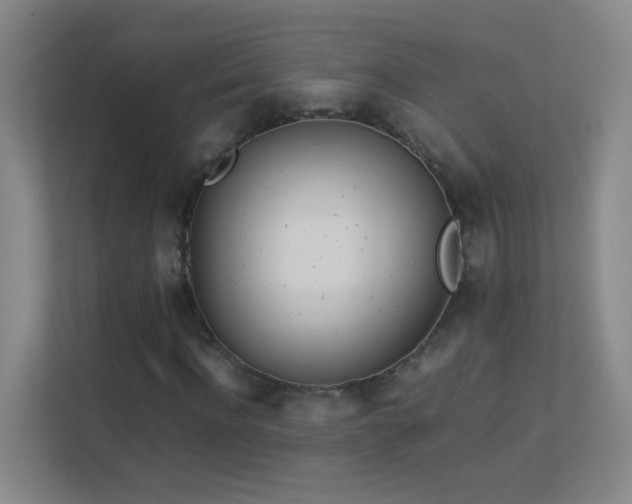 X0000113890916200909241414