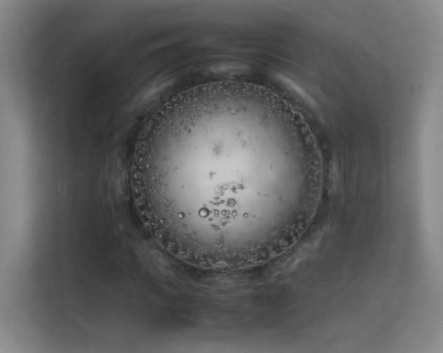 X0000113890917200909241414