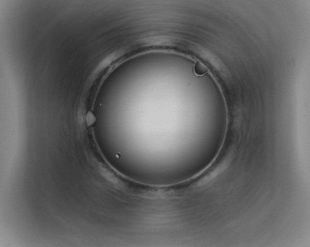 X0000113890922200909241414