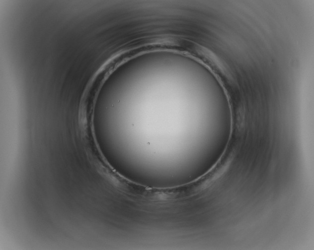 X0000113890923200909241414