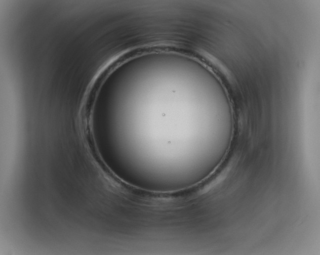 X0000113890925200909241414