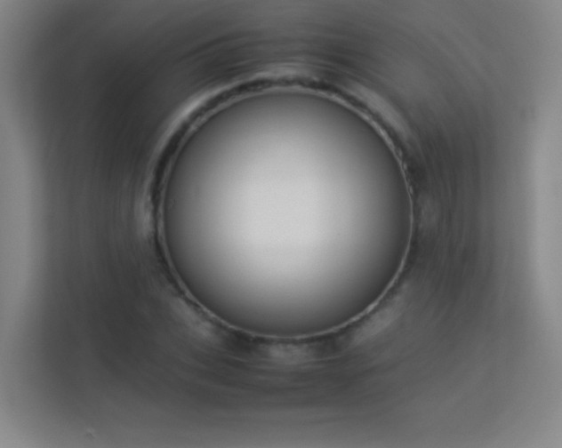 X0000113890927200909241414