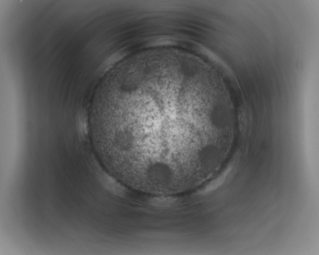 X0000113890929200909241414