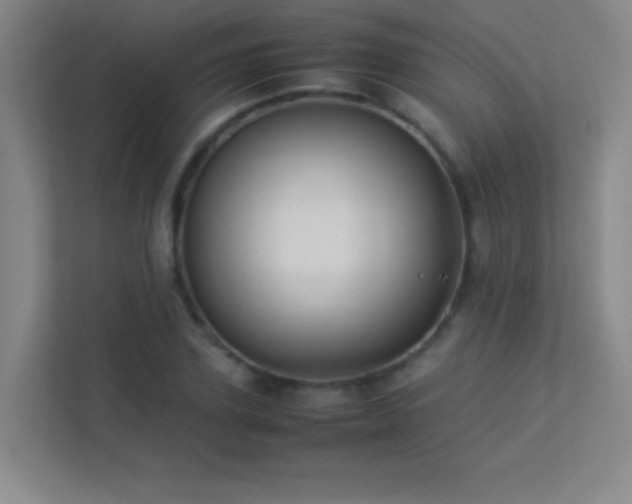 X0000113890931200909241414
