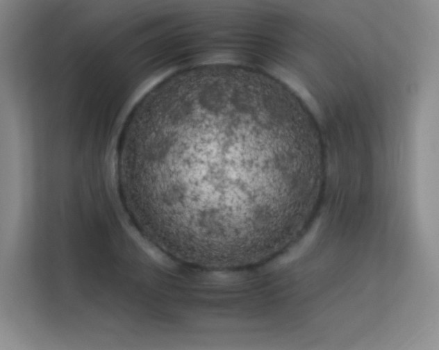 X0000113890933200909241414